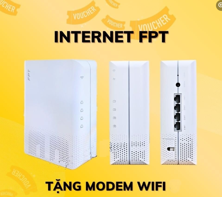 Tại sao nên chọn lắp đặt mạng cáp quang FPT?